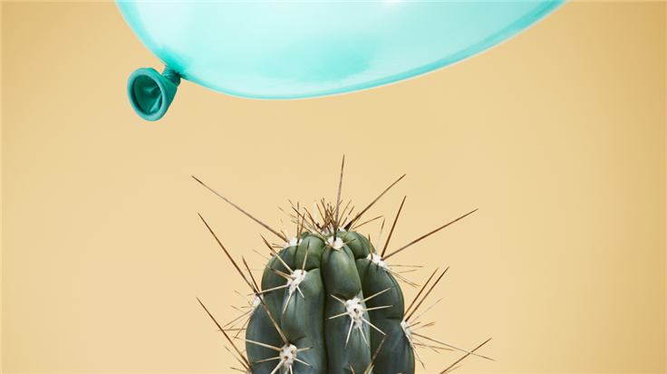 balloon close to a cactus