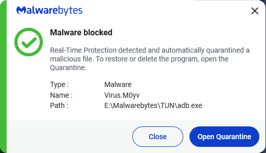 Malwarebytes blocks Virus.M0yv